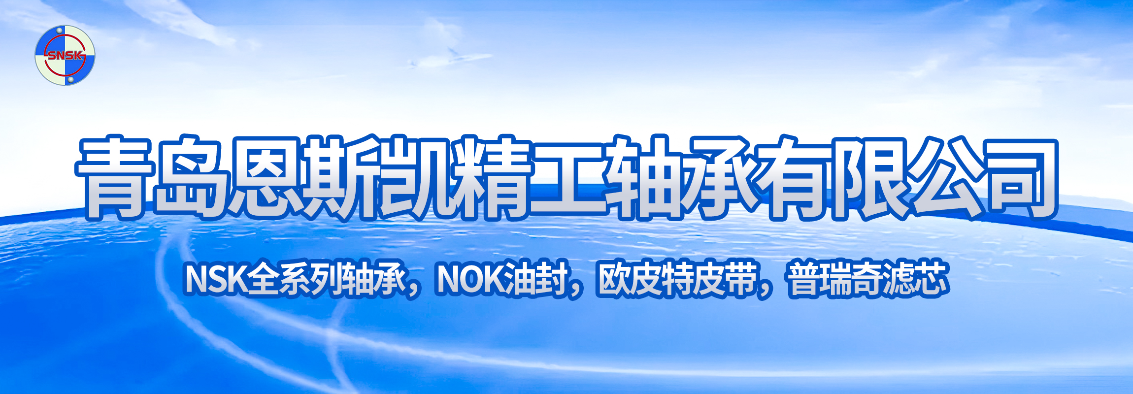 青岛恩斯凯精工轴承有限公司